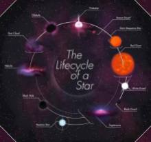 Животни циклус звезде